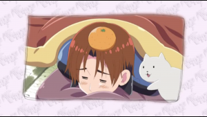 Italie et un chat sous un kotatsu