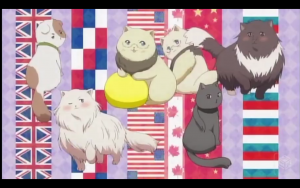 Cliquez sur l'image pour agrandir !