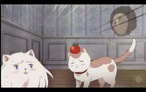 Cliquez pour agrandir l'image !