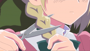 Liechtenstein se coupe les cheveux...